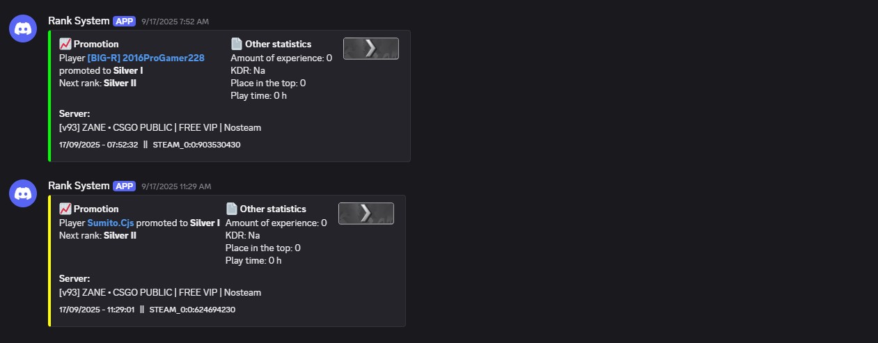 Custom Discord Bot